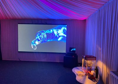 LED Video Screen Showroom